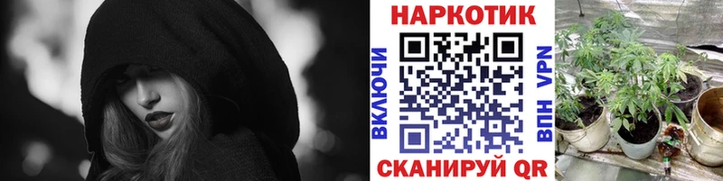 Что такое Луга Галлюциногенные грибы  Экстази  ГАШИШ  blacksprut   Меф 