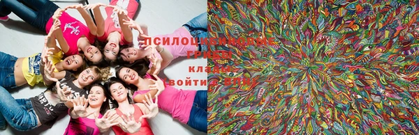 2c-b Бронницы