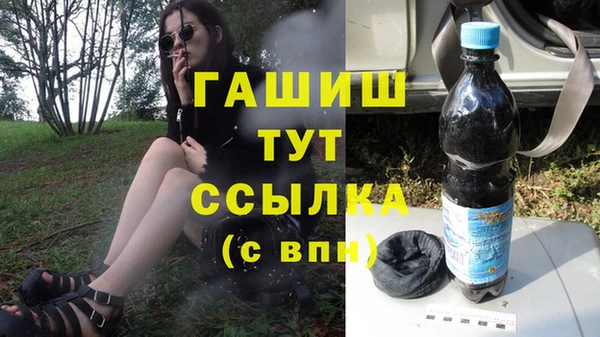 твердый Бородино