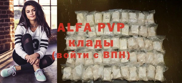 твердый Бородино