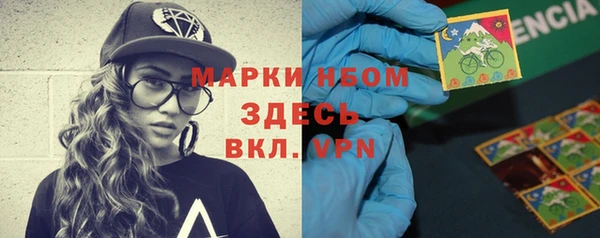 твердый Бородино