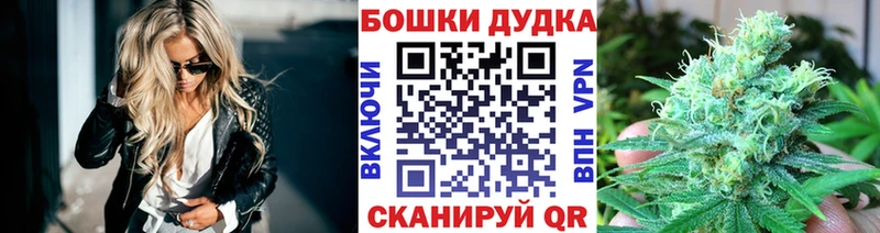 Шишки марихуана OG Kush  Луга 
